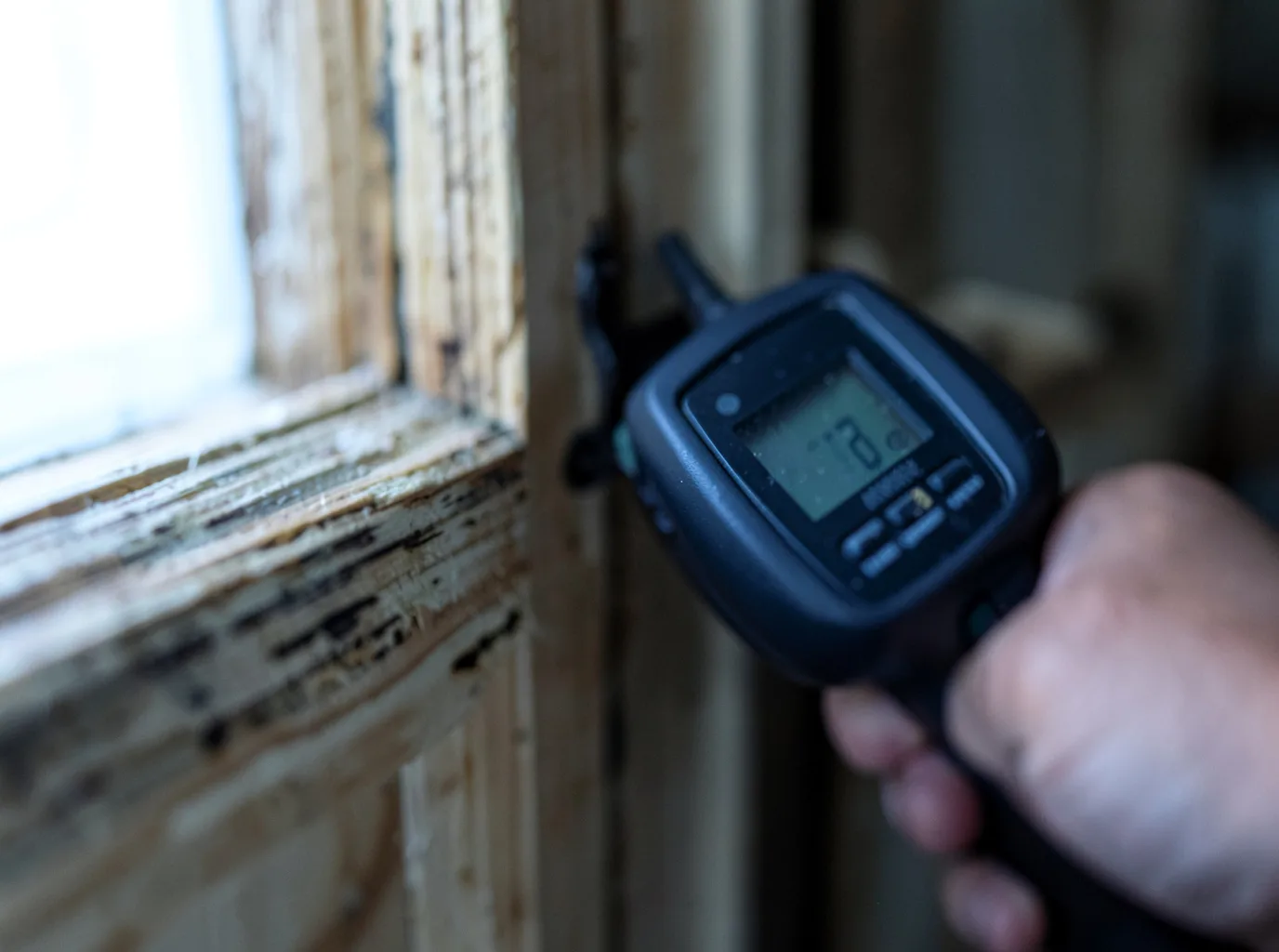 Moisture Inspection And Documentation in Circleville, NY